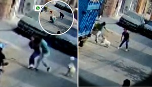Perro enfrenta a ladrón que sustrajo celular a mujer en Ate