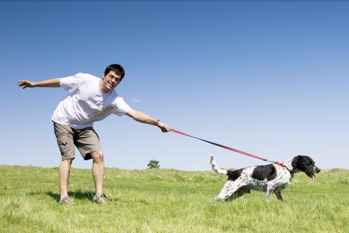 Una correa, entre 1.5 y 2 metros, permite el control sin restringir demasiado el movimiento del perro. Foto: Internet.