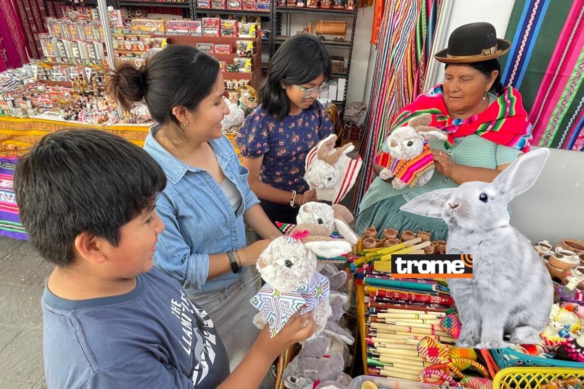 Empiezan a buscar al 'conejito'. (Isabel Medina / Trome)