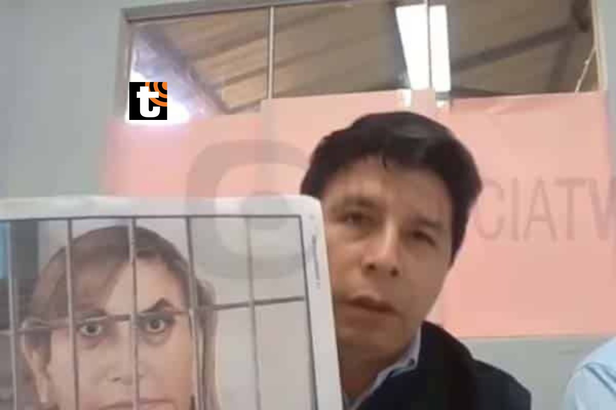 Pedro Castillo mostró una caricatura de Patricia Benavides durante su audiencia.