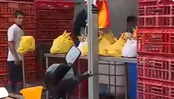 Comas: Intervienen avícola que inflaba pollos con agua contaminada