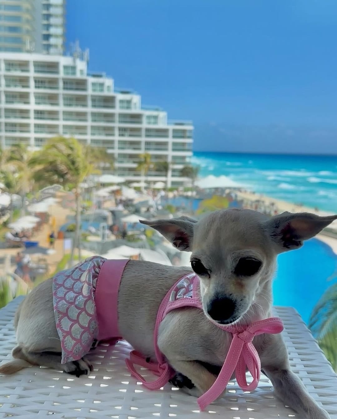 Ama los viajes y luce su bikini para la ocasión.