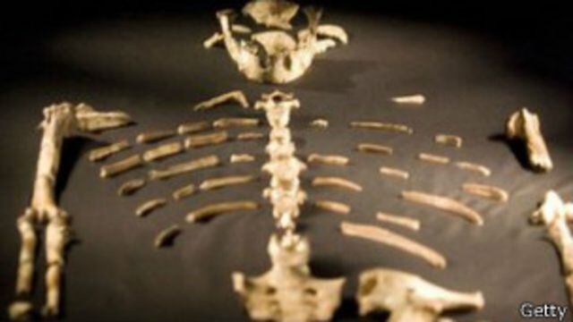 En 1974, el paleoantropólogo estadounidense Donald Johanson descubre en Etiopía los restos fósiles de Lucy, hembra especie Australopithecus afarensis.