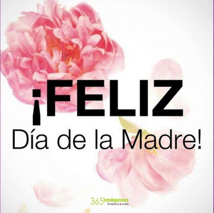 Madre, gracias por enseñarme a volar y por estar ahí cuando necesito un lugar donde aterrizar. | Crédito: 365 Imágenes Bonitas / YouTube