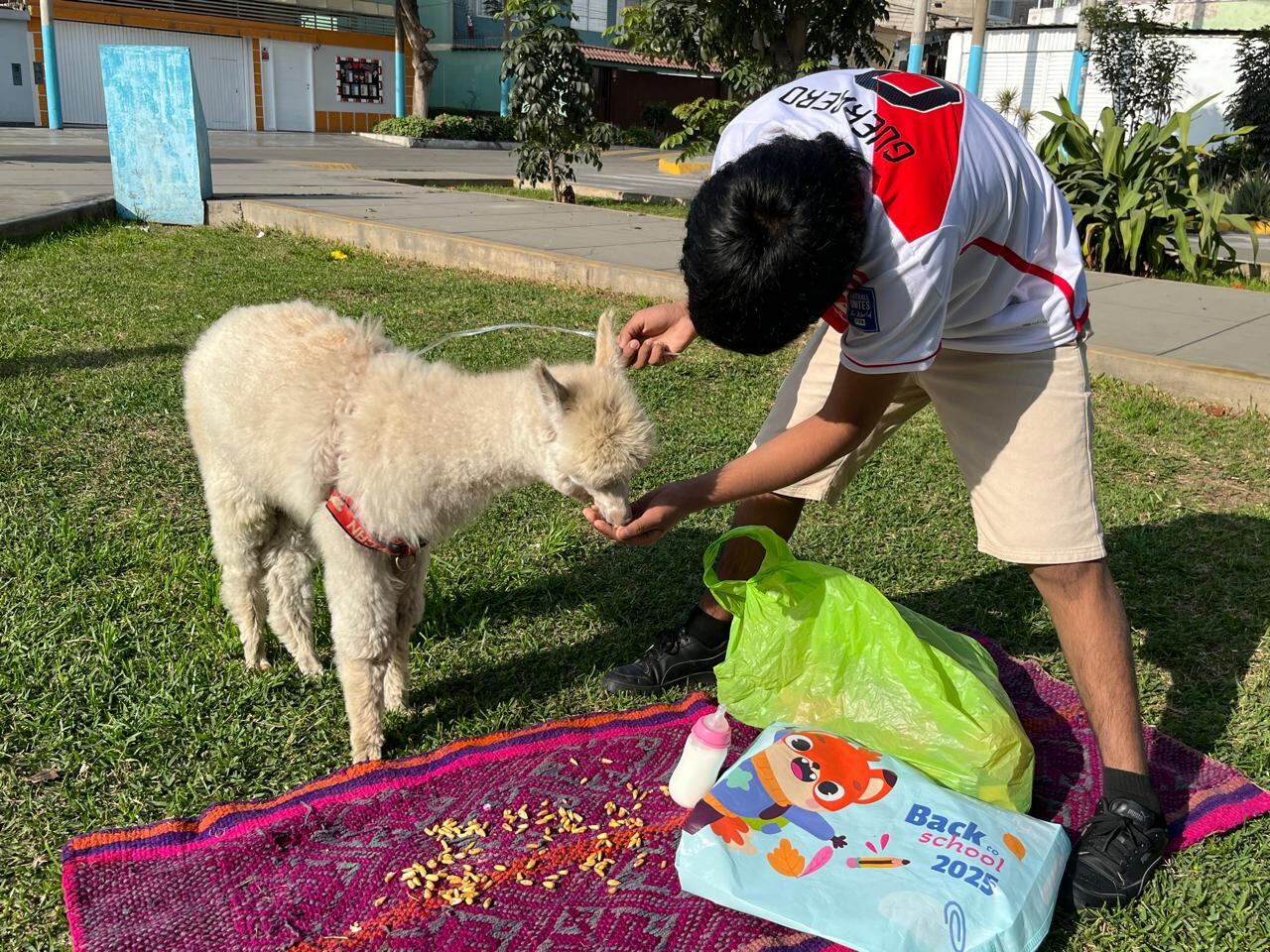 Entre sus snacks favoritos es la cancha serrana. Foto: Katty Gines.