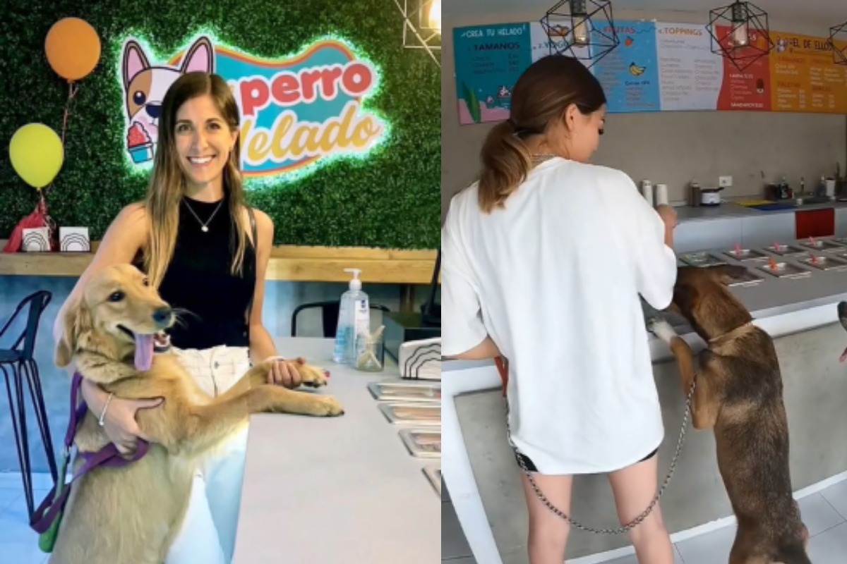 HISTORIA VIRAL | La innovadora idea de negocio 'pet friendly' ha cautivado a todos los amantes de las mascotas. (Foto: @elperrohelado1)