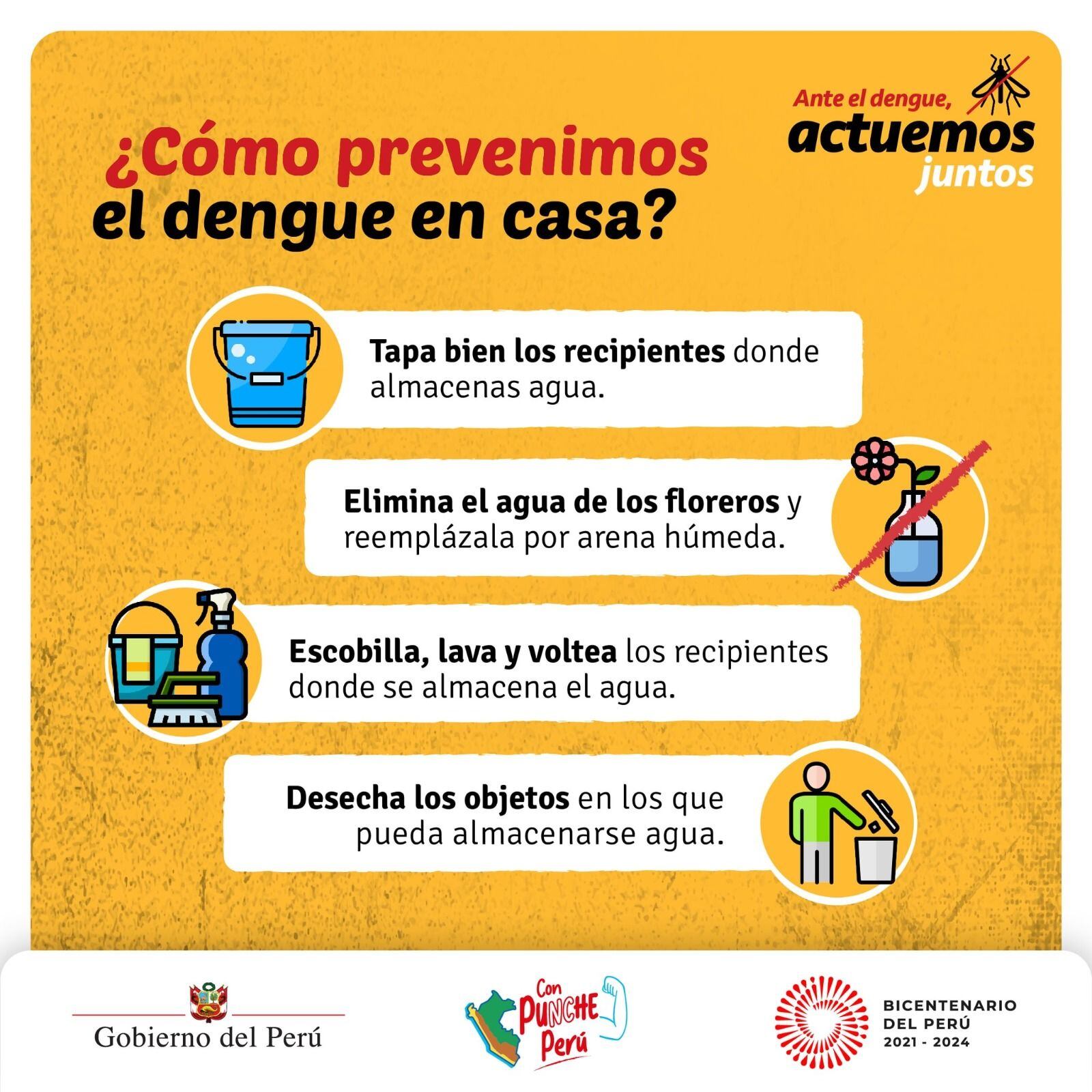 Las recomendaciones del Minsa para frenar la propagación del dengue en Perú.