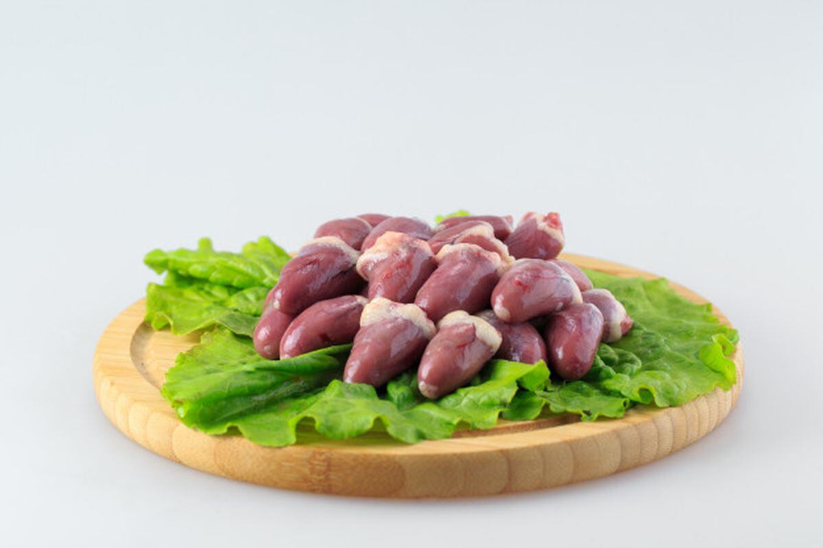 Aunque no lo crea, el hígado de pollo es perjudicial para un gato (Foto: Freepik)