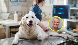 ¿Qué es la hidrómetra y cómo afecta a las mascotas? Lee la columna del veterinario Pancho Cavero