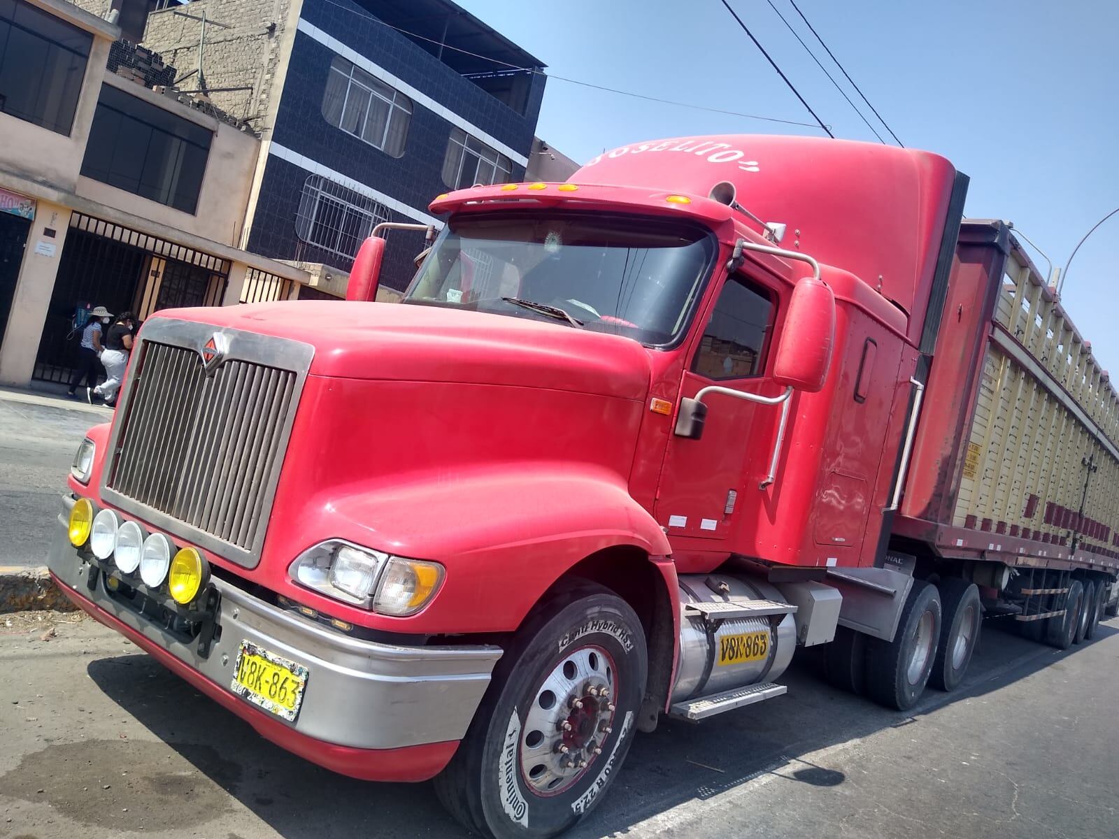 Salen videos del atraco a camión cargado con 42 toneladas de ajos.