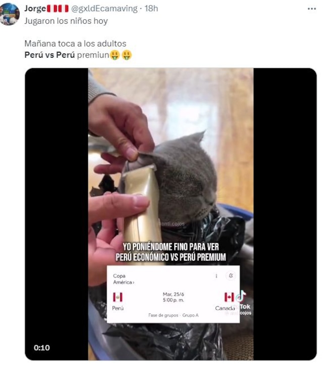 Memes del Perú vs. Canadá