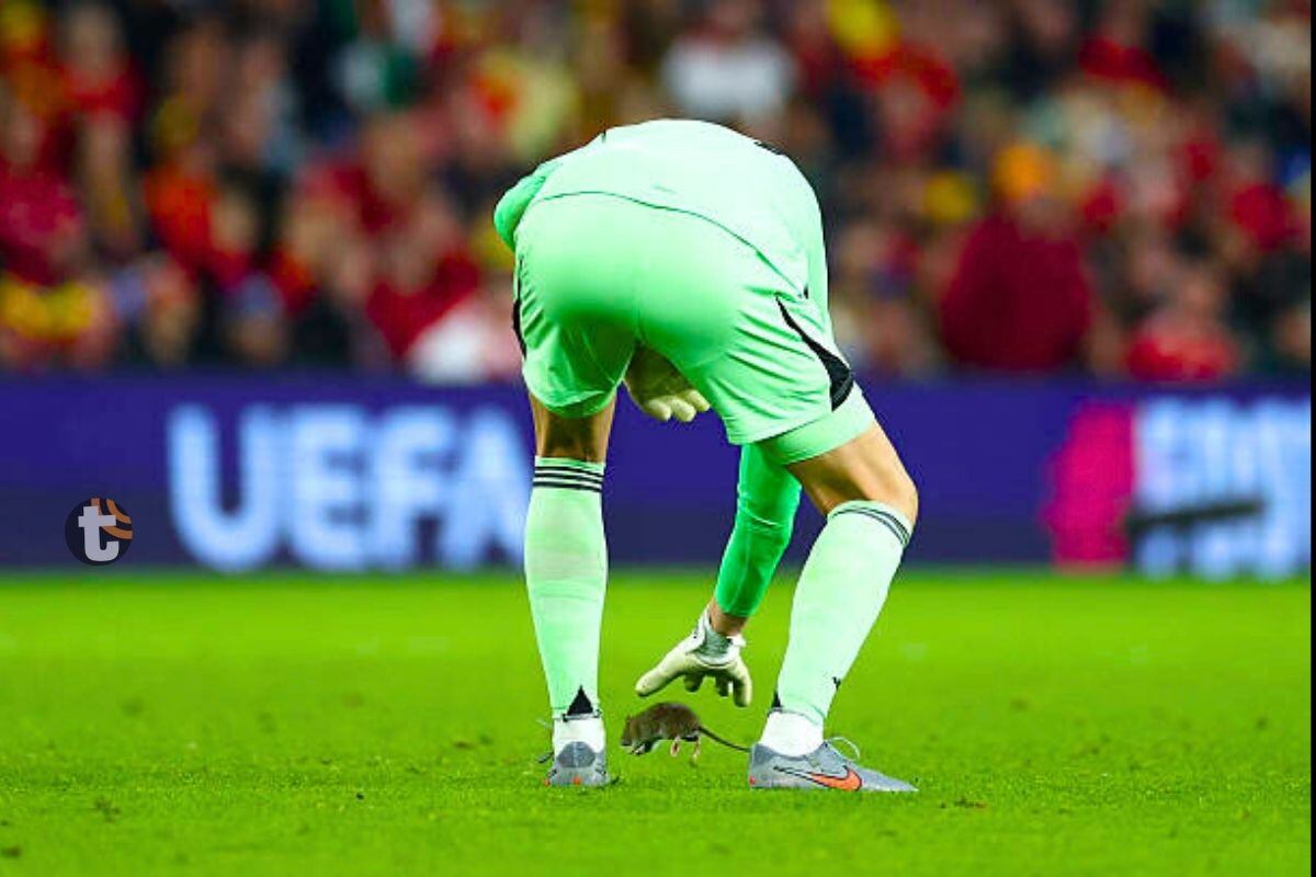 Thibaut Courtois hizo repetidos intentos por atrapar a roedos yno lo consiguió (Foto: AP)