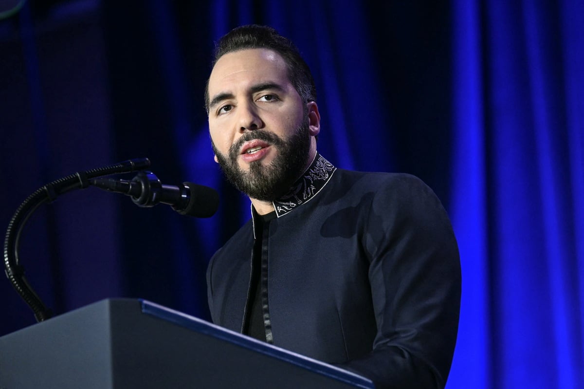 La llegada a la presidencia de El Salvador de Nayib Bukele ha implicado riesgos para los periodistas, según Cárcamo. (SAUL LOEB / AFP)