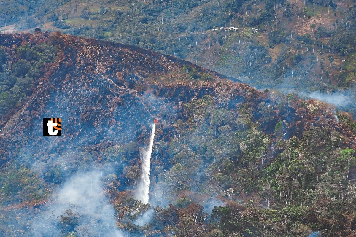 Dina Boluarte anunció que tres regiones afectadas por el fuego fueron declaradas en emergencia