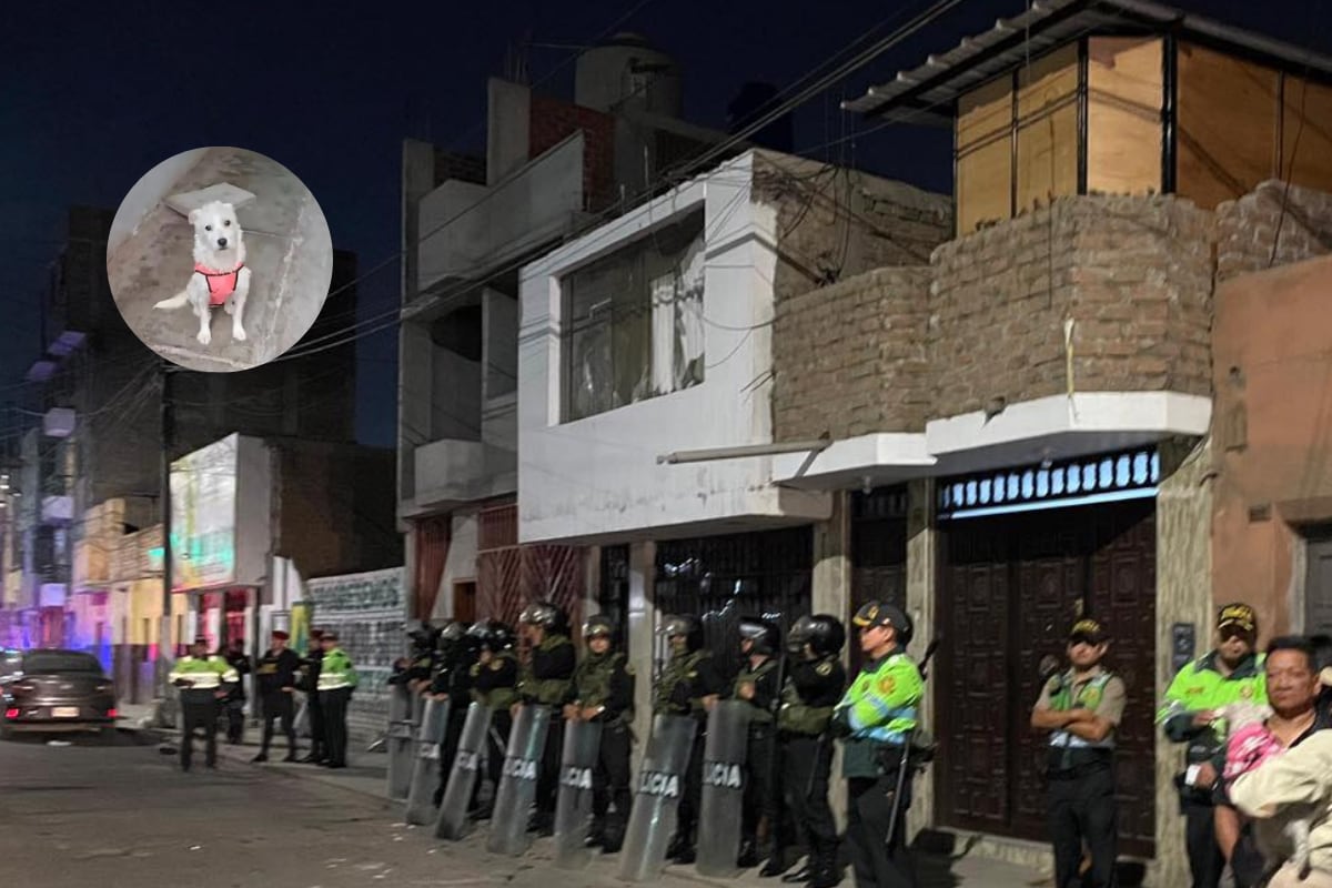 Trujillo atacan casa de sujeto que mató a perrita