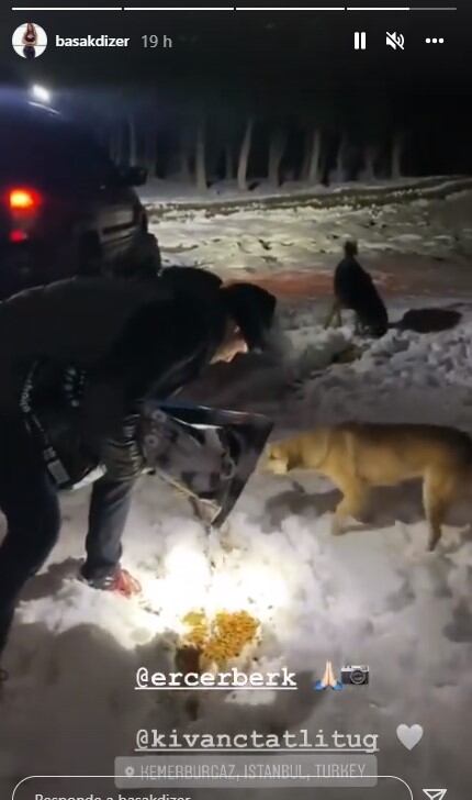 Kıvanç Tatlıtuğ dando comida a los perros en la nieve. (Foto: Başak Dizer / historias de Instagram)