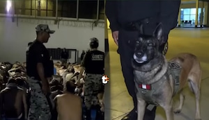 Así fue requisa en Piedras Gordas I: Allanan celdas de los delincuentes más peligrosos del país y perros encuentran drogas