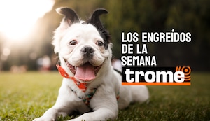 Los engreídos Trome de esta semana llegan para robarte el corazón