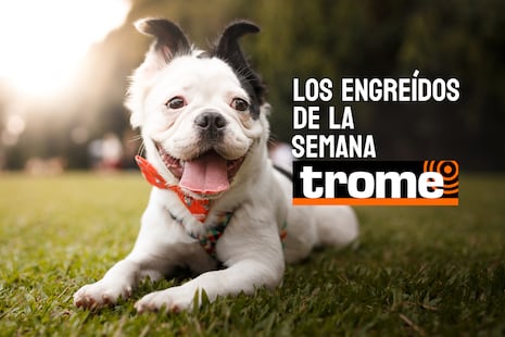 Los engreídos Trome de esta semana llegan para robarte el corazón