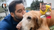 ¡Doloroso adiós! Junior Silva llora la muerte de Bronco, su mascota de 14 años: “Te voy a recordar y querer siempre, hijito bello”