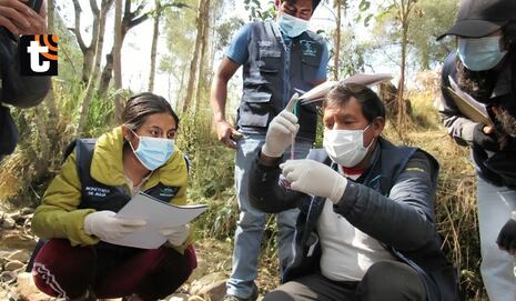 ¿Por qué el río Rímac se tiñó de negro? Detectan niveles críticos de metales pesados en cuenca alta