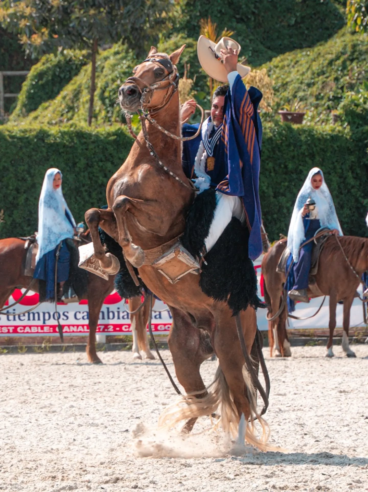 La cuadrilla del Señor de los Milagros a Caballo Peruano de Paso rindió homenaje al Cristo Moreno en octubre, mes dedicado al Señor de los Milagros. Foto: @MundialCPP.