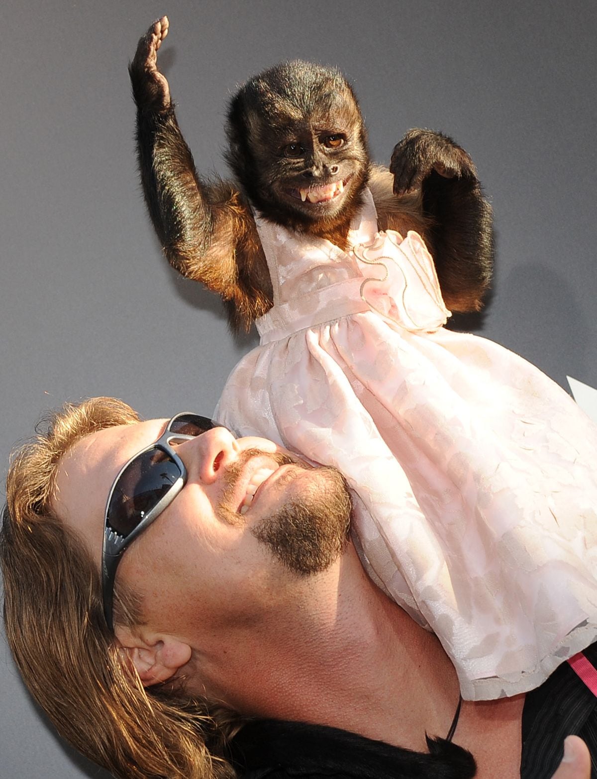 Crystal toda una celebridad en la alfombra roja en el Teatro Chino de Grauman en Hollywood (Foto: Mark Ralston / AFP)