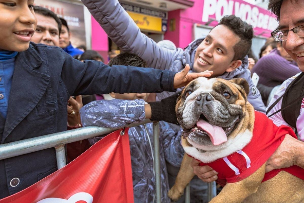 Como buen representante de la patineta, Biuf participó en varios eventos. Marcas de comida, ropa y veterinarias lo auspiciaban por ser la estrella.
Foto: Aaron Cisneros.