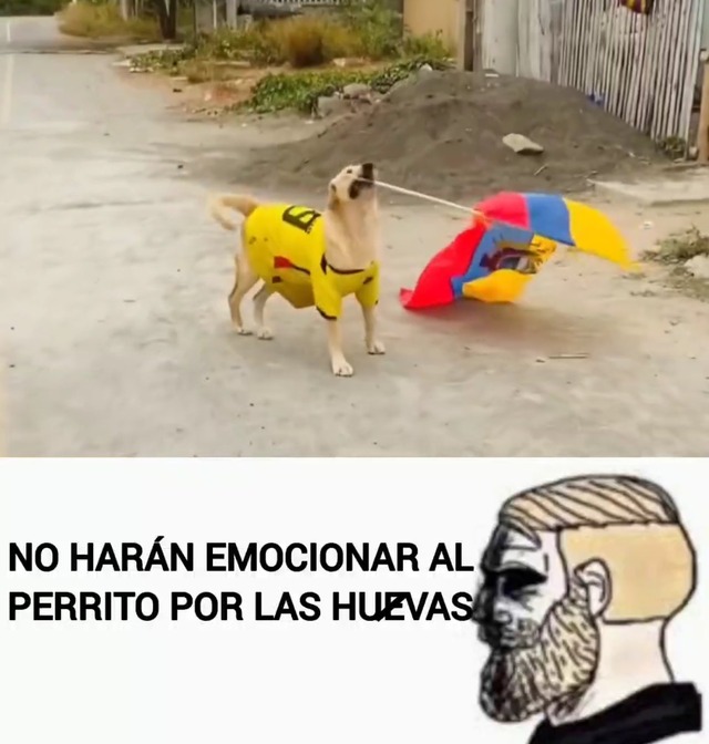 Los más hilarantes memes del Argentina vs. Ecuador