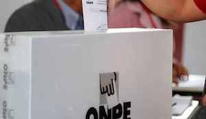 ‘Picotitos’ de El Búho