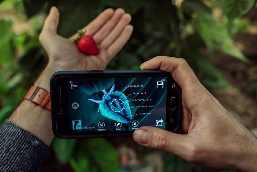 Los emprendedores interesados pueden crear su formulario de postulación hasta el martes 31 de octubre del 2023.