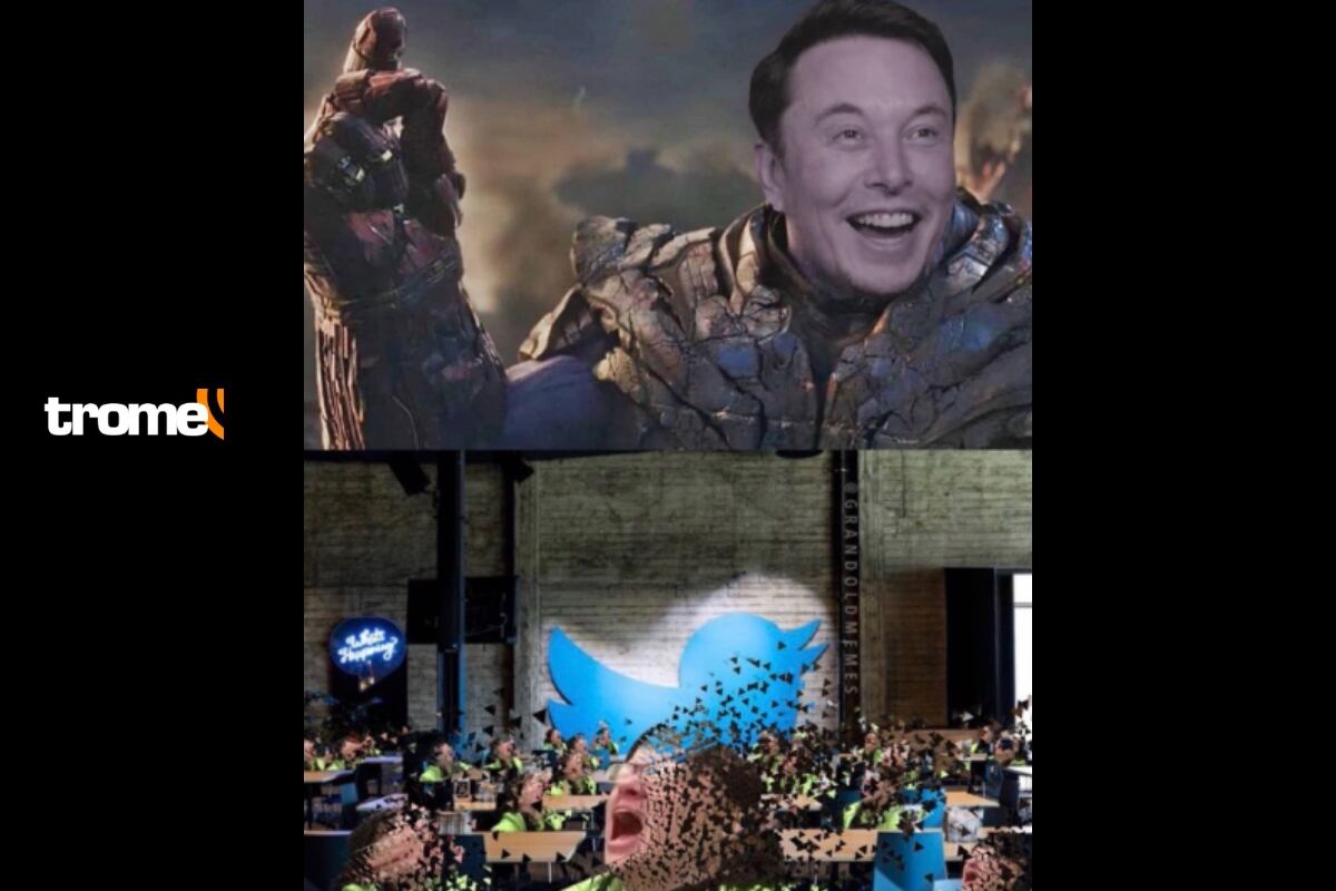 Los mejores memes en redes sociales ante el posible adiós de Twitter tras las medidas de Elon Musk.