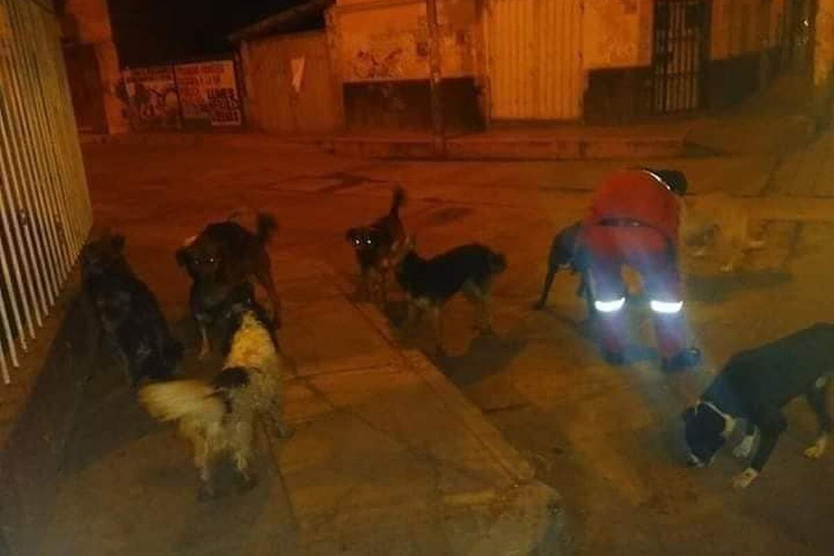 Bomberos de Cajamarca