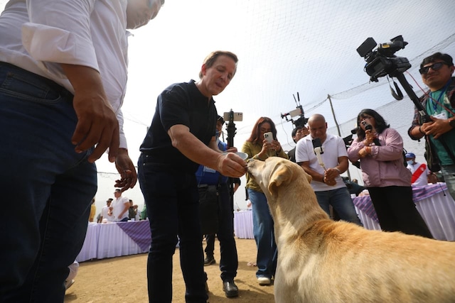 Las postales que deja la jornada de las Elecciones Regionales y Municipales 2026. Fotos: GEC