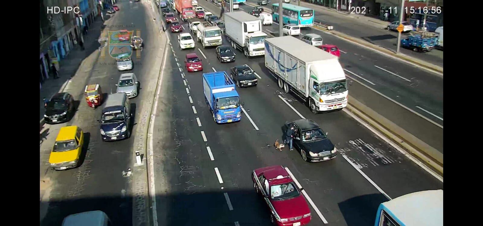 Luego de robar, delincuente y su perro casi son atropellados por camión.