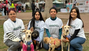 Perrotón 2025: Este domingo 25 de mayo más de 50 perritos esperan por un hogar