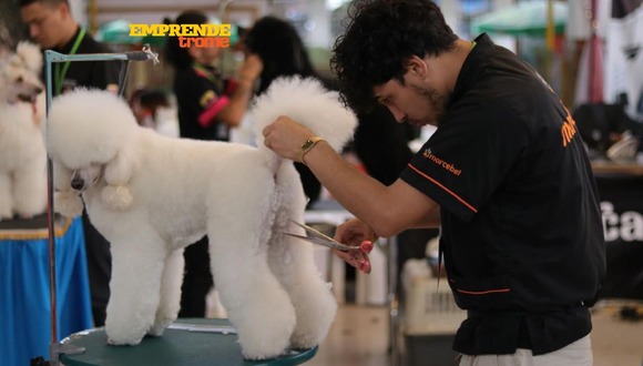 TROME - Joven empezó bañando mascotas y ahora es un reconocido estilista de canes