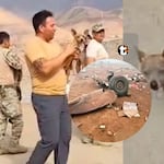 ¡Un milagro en Arequipa! Perrito chihuahua sobrevive a caída del helicóptero FAP y se queda al lado de su dueño