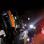 ¡Tragedia en la carretera! Bus que iba de Pucallpa a Lima se despista y deja 11 muertos y más de 20 heridos