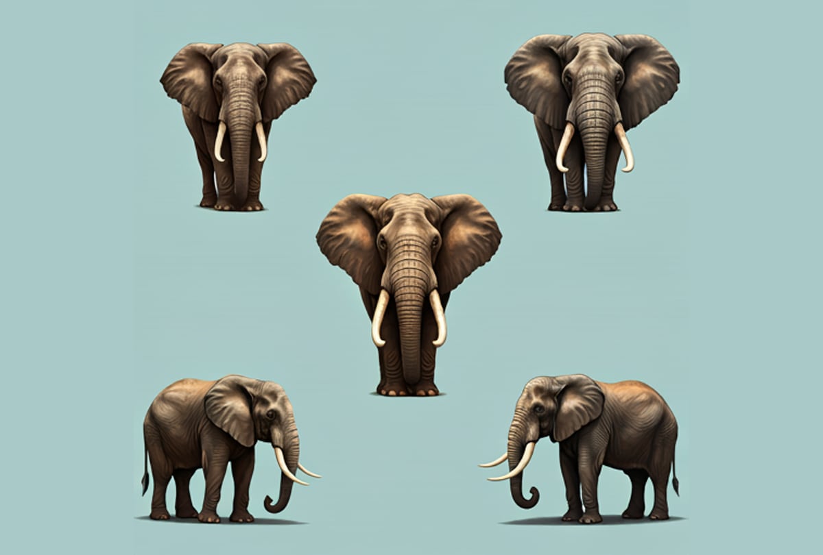 El de mayor tamaño llega a pesar hasta 10 toneladas. Foto: difusión