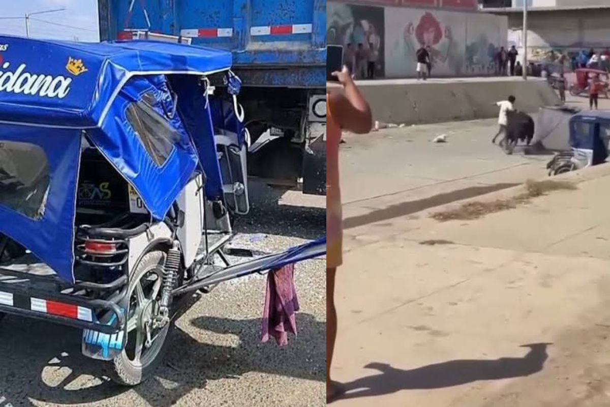 Mototaxi quedó con evidencias de daño tras embestida de animal (Foto: @soltvperu)