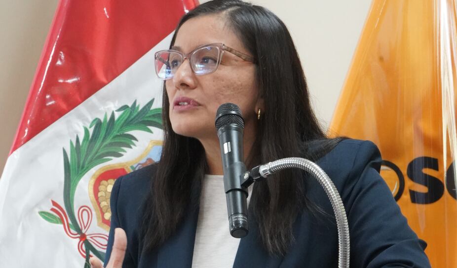 La OSCE anunció un sistema de automatización y sistematización del trabajo de esa entidad.