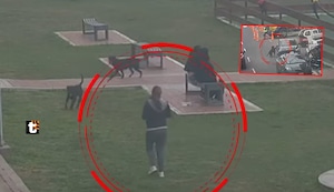 ¡Maltrato animal! Mujer abandona a sus dos perros en parque de San Miguel: Los animalitos intentaron subir al auto