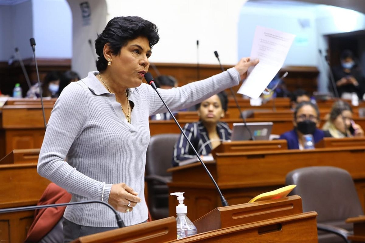 Norma Yarrow, de Avanza País, fue quien presentó el pedido. (Foto: Congreso)