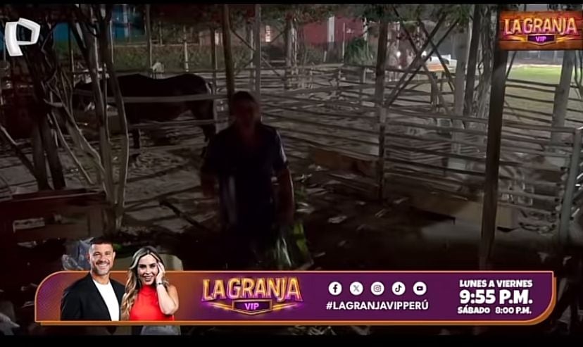 Mark Vito pide que voten por Diego Chávarry.