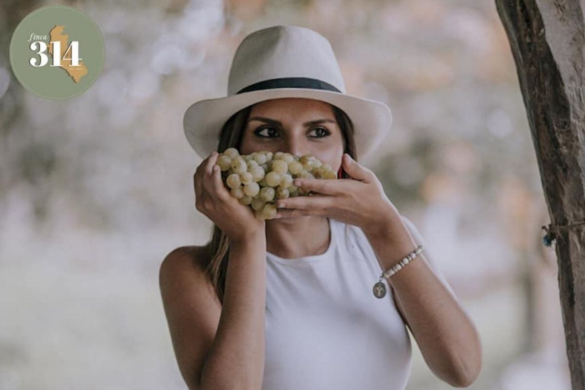 Claudia Moquillaza se encarga del área comercial y su valioso aporte hizo que sus productos ingresen a hoteles A1 y a restaurantes de cinco tenedores.
Foto: Finca 314.