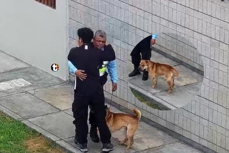 ¡ABRAZO QUE CONMUEVE! Sereno ayuda a joven a reencontrarse con su perrito perdido en Miraflores