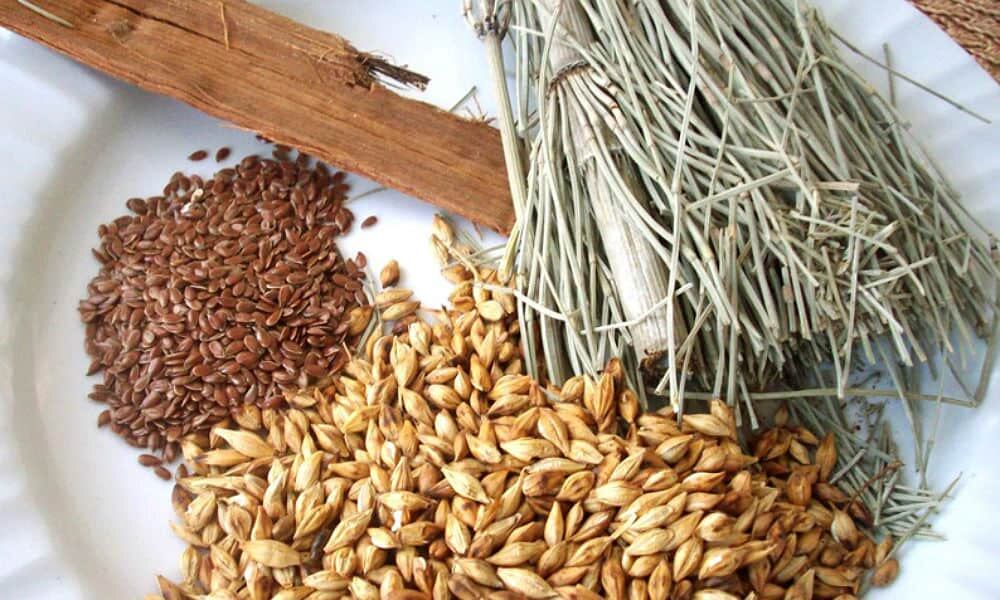 Ayuda a desintoxicar el organismo a diario. (Facebook: Salud en Casa)