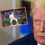 A Donald Trump no le gustó show de Bad Bunny en el Super Bowl