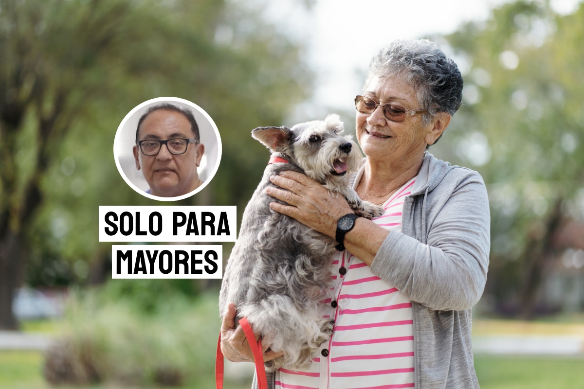 Adultos mayores y mascotas. Foto: composición/Istock